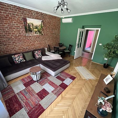 Asha Central Apartment Timişoara Buitenkant foto