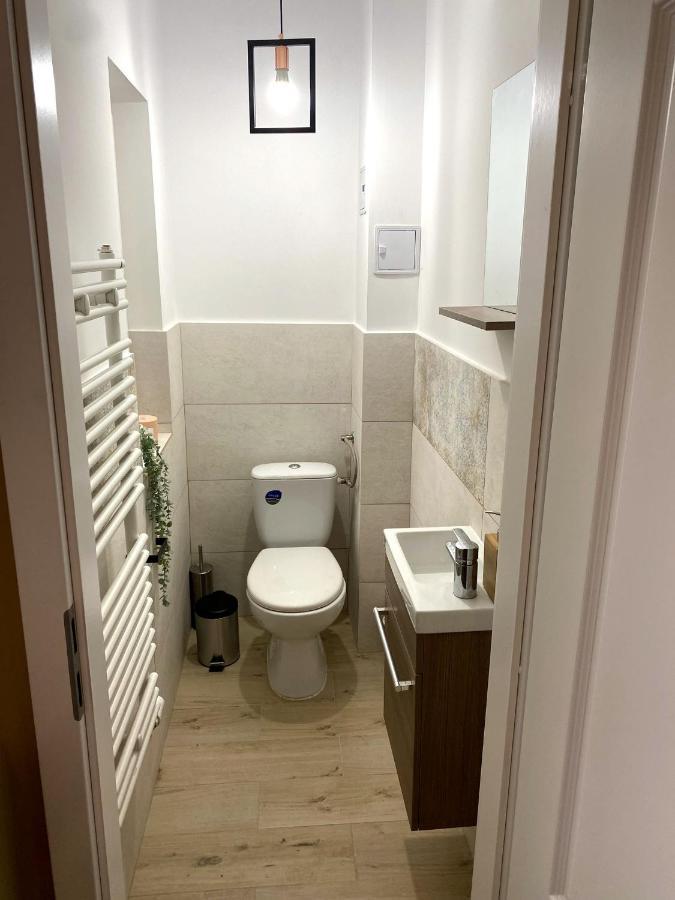 Asha Central Apartment Timişoara Buitenkant foto